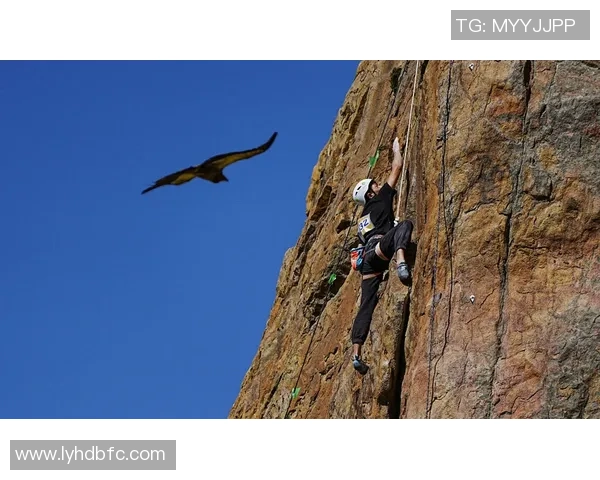 广州攀岩队与重庆攀岩队赛后复盘意识对比分析与启示