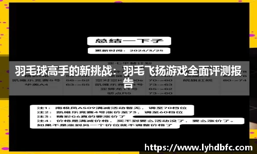 羽毛球高手的新挑战：羽毛飞扬游戏全面评测报告